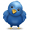Follow me on Twitter